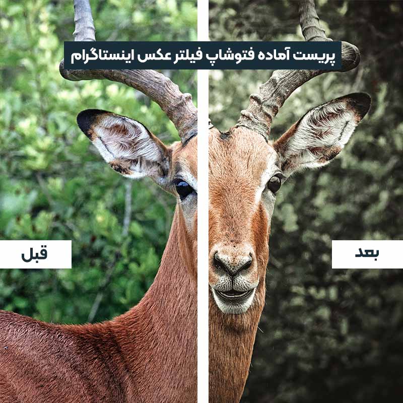 پریست آماده فتوشاپ فیلتر عکس اینستاگرام